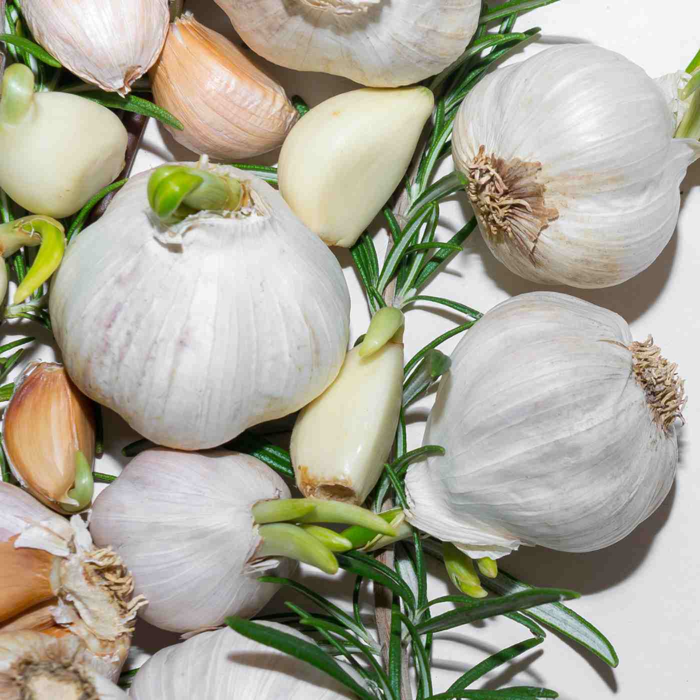 Garlic bulbs