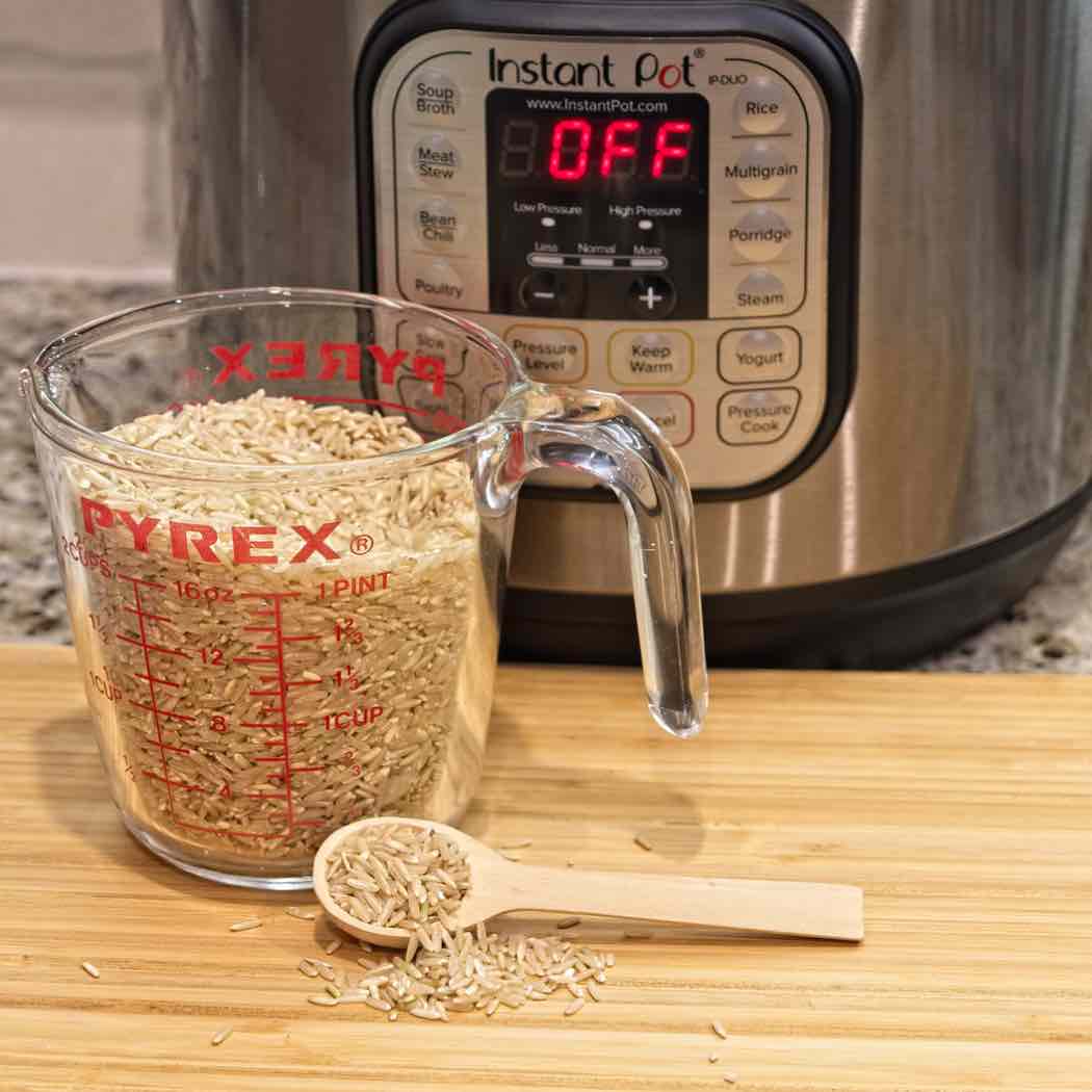 3 qt Instant Pot