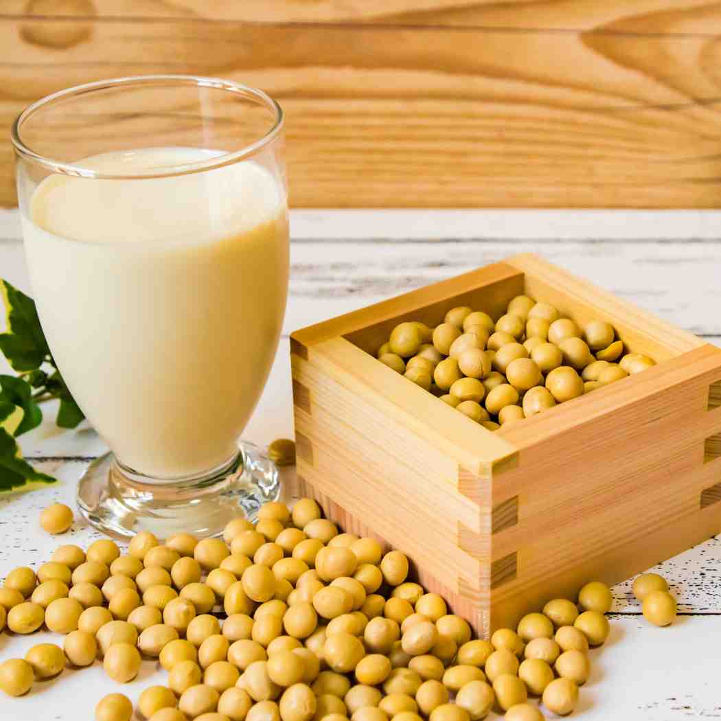 soy beans for milk alternative