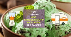 Mint Chocolate Chip featured image