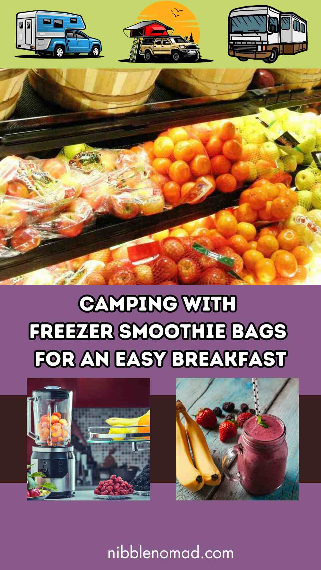 camping freezer smoothie bags